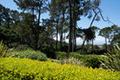24319 Monterra Woods RD thumbnail photo #32
