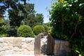 24319 Monterra Woods RD thumbnail photo #41