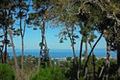 24319 Monterra Woods RD thumbnail photo #45