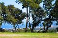 7870 Monterra Oaks (Lot 108) RD thumbnail photo #1