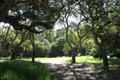 7870 Monterra Oaks (Lot 108) RD thumbnail photo #3