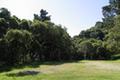 7870 Monterra Oaks (Lot 108) RD thumbnail photo #6