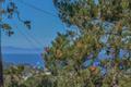 747 Lyndon ST thumbnail photo #1