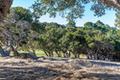 25520 Via Malpaso (Lot 92) thumbnail photo #3
