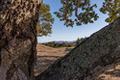 25520 Via Malpaso (Lot 92) thumbnail photo #6