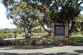 8390 Monterra Views (Lot 153) thumbnail photo #7