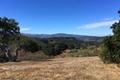 8125 Carina ( Lot 80) thumbnail photo #6