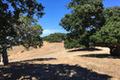 8125 Carina ( Lot 80) thumbnail photo #7