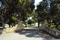 7586 Paseo Vista (Lot 78) thumbnail photo #7