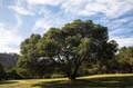 24 Tehama (Lot 10) thumbnail photo #1