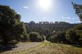 24 Tehama (Lot 10) thumbnail photo #3