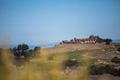 24 Tehama (Lot 10) thumbnail photo #4