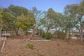 810 McClellan AVE thumbnail photo #4