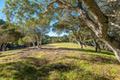 7745 Paseo Venado (Lot 83) thumbnail photo #6