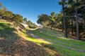 7755 Paseo Venado (Lot 84) thumbnail photo #4