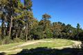 Paseo Venado (Lot 116) thumbnail photo #3