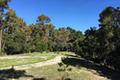 Paseo Venado (Lot 116) thumbnail photo #4