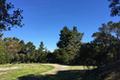Paseo Venado (Lot 116) thumbnail photo #6