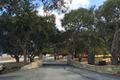 Paseo Venado (Lot 116) thumbnail photo #9