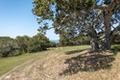 8225 Carina (Lot 77) thumbnail photo #2