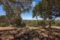 8160 Manjares (Lot 136) thumbnail photo #1