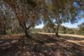 8160 Manjares (Lot 136) thumbnail photo #2
