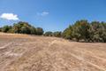 8160 Manjares (Lot 136) thumbnail photo #5