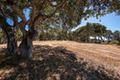 8160 Manjares (Lot 136) thumbnail photo #6