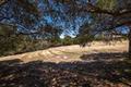 8130 Manjares (Lot 126) thumbnail photo #4