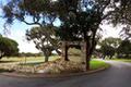 8130 Manjares (Lot 126) thumbnail photo #6
