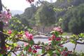 8130 Manjares (Lot 126) thumbnail photo #7