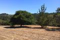 7552 Monterra Ranch Road (Lot 57) thumbnail photo #1