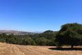 7552 Monterra Ranch Road (Lot 57) thumbnail photo #2