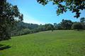 7552 Monterra Ranch Road (Lot 57) thumbnail photo #4