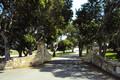7552 Monterra Ranch Road (Lot 57) thumbnail photo #7