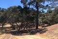 7735 Paseo Venado (Lot 82) thumbnail photo #4
