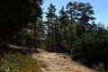7 Acres - 3940 Via Mar Monte thumbnail photo #2