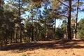 7 Acres - 3940 Via Mar Monte thumbnail photo #3