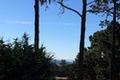 7 Acres - 3940 Via Mar Monte thumbnail photo #5