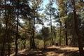 7 Acres - 3940 Via Mar Monte thumbnail photo #6