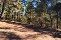 7 Acres - 3940 Via Mar Monte thumbnail photo #7