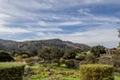 Mirasol Court  - Pasadera thumbnail photo #20
