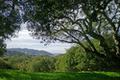8345 Vista Monterra (Lot 151)