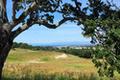 7586 Paseo Vista (Lot 78)