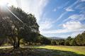24 Tehama (Lot 10)