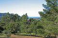 12 Alta Madera (Lot 4)