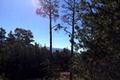 7 Acres - 3940 Via Mar Monte