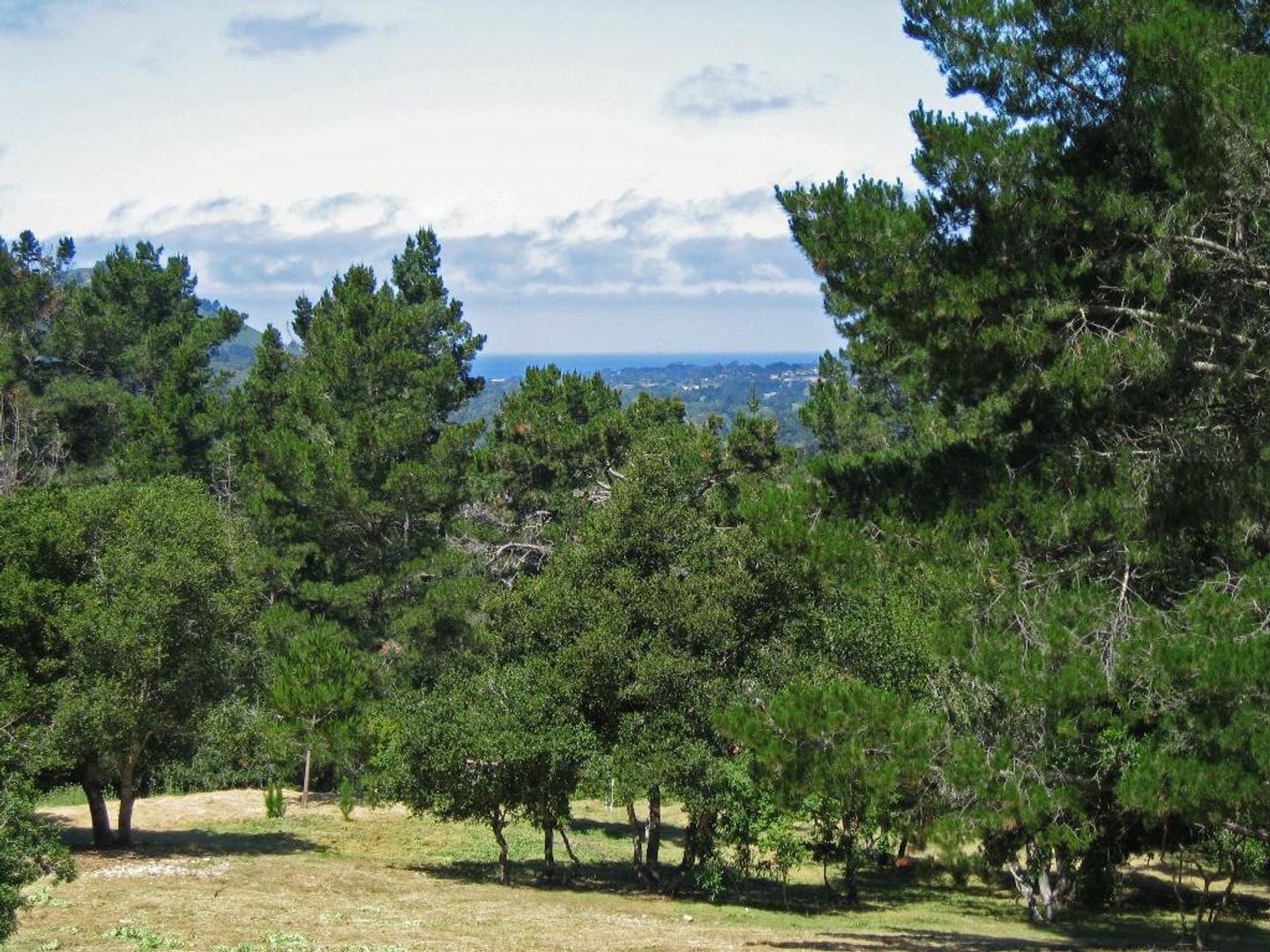 12 Alta Madera