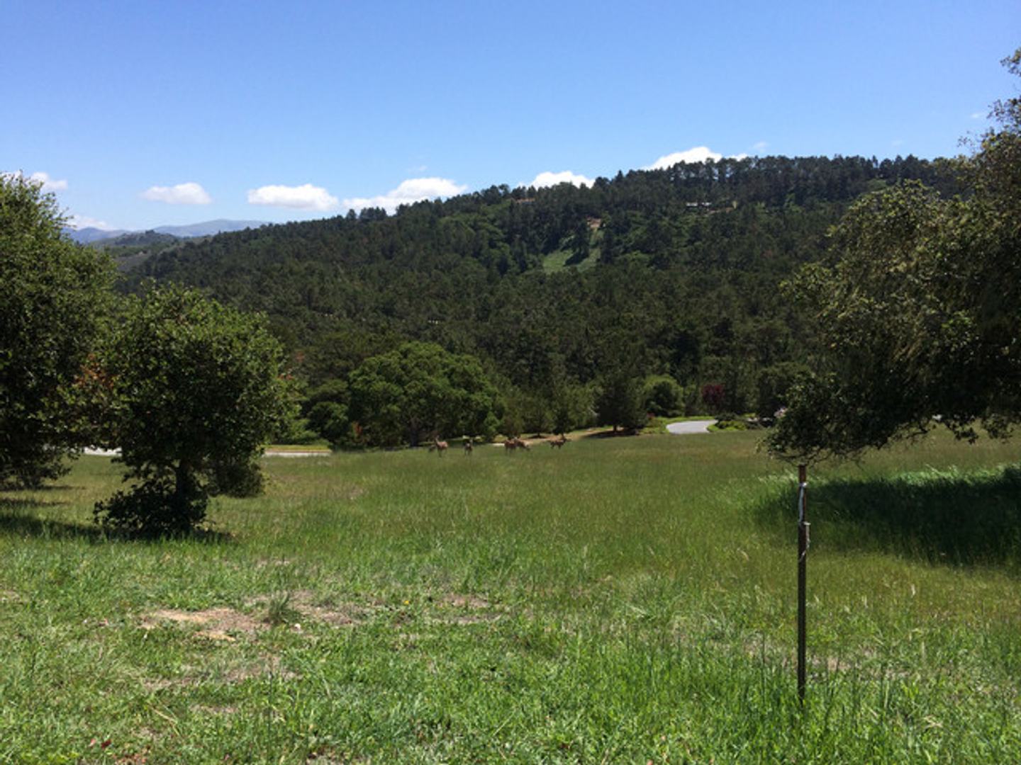 24237 Monterra Woods (lot 64)