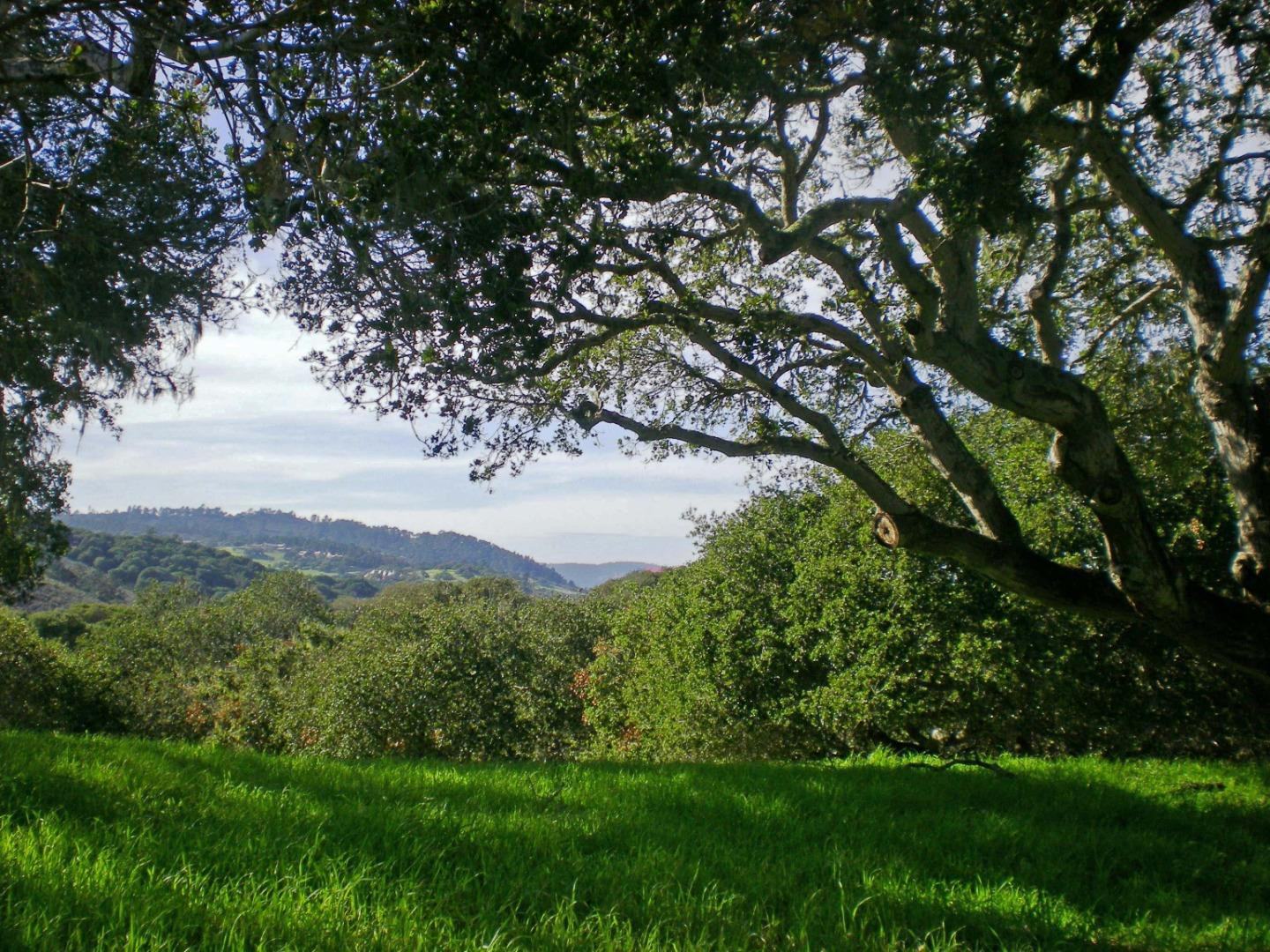8345 Vista Monterra (Lot 151)